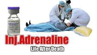 Injection Adrenaline /  Emergency Drugs / Action / side effects