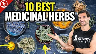 Top 10 Best Medicinal Herbs - For Health & Vitality