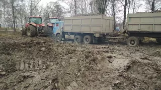 Жестокое вывоз сахарной свеклы, буксировка камаза двумя тракторами, болото 2017