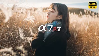 Sony α7RV 8K | Cinematic Vlog in ASO , japan. | "LIFETIME"