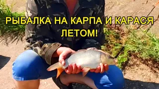 РЫБАЛКА НА КАРПА И КАРАСЯ ЛЕТОМ! Карп не дает отдохнуть! бешенный клев карпа и карася летом!