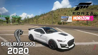 Forza Horizon 5 - Ford Mustang Shelby GT500 2020 | Free Roam Gameplay  [PC 1080p60FPS]