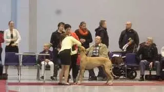 Lahti CACIB show junior handling, Kávé & Emma