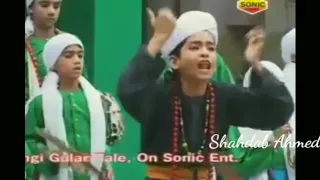 Musalmano sambhal jao ye duniya jane vali h. S. S