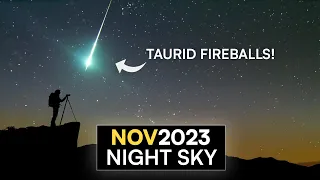 What's in the Night Sky November 2023 🌌 Taurid Fireball Meteors | Leonids | Jupiter Opposition