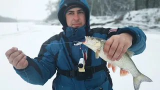 Неожиданный трофей на балансир. Щука на жерлицы