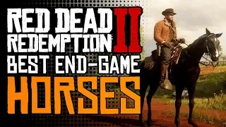 Red Dead Redemption 2 BEST END GAME Horses | Best HORSE BREEDS and WHERE to FIND THEM (RDR2 Horses)