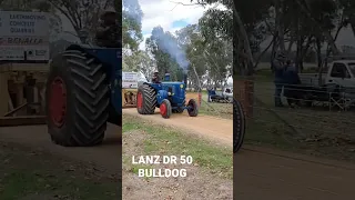 Lanz Bulldog D5016 pulling