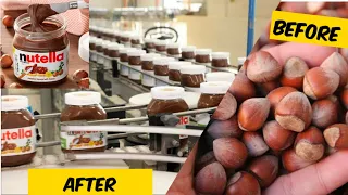 How Nutella is Made Hazelnut harvesting machine - Hazelnut production process in factory