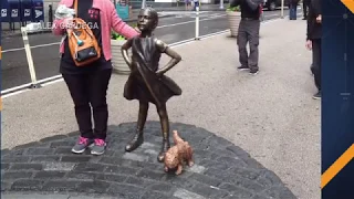 Artist Explains Why He Removed Pug Statue Near Fearless Girl Statue