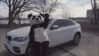 Boris - Panda 2016 Official Video   !!
