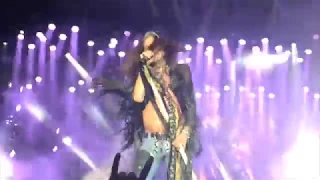 Aerosmith live - Berlin Waldbuehne - 30.5.2017 - very close to stage  - Aero-Vederci Baby