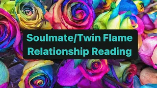 ✨RENEWAL✨Soulmate/Twin Flame Relationship Tarot Reading ❤️