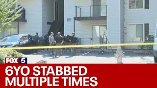 Child stabbed inside burning apartment | FOX 5 News