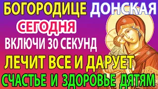 Сегодня ПРАЗДНИК ДОНСКАЯ! ПРОСИ Исцеление от всех болезней, здоровье Чудеса Богородицы Донская