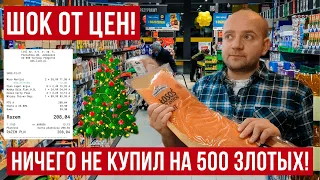 в ШОКЕ от цен в Польше! Что купил в Польше на 500 злотых в Lidl и Biedronka