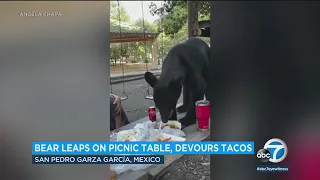 Mom shields son with Down syndrome as bear gulps down his birthday meal at park in Mexico