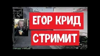 ЕГОР КРИД СТРИМИТ НА ТВИЧЕ // ЕГОР КРИД ИГРАЕТ В КС ГО // ЕГОРУ КРИДУ ДОНАТЯТ НА СТРИМЕ