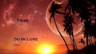 Tribe - So In Love