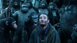 Dawn of the Planet of the Apes (2014) Full Slasher Film Explained in Hindi | Apes Summarized Hindi