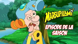 Marsupilami - épisode de la saison 2 : EP22-24 épisode complet