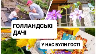 Голландські дачі Що росте Чекаємо гостей @ elenaholland5 #україномовнийютюб