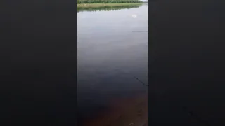 первая рыбалка на удочке река Нюя