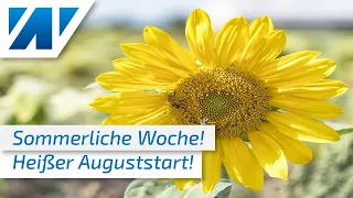 Letzte Juliwoche mit Sommerwetter! Heißer Start in den August - über 30 °C am kommenden Wochenende!