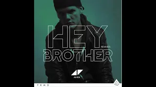 Avicii - Hey Brother (V&L)