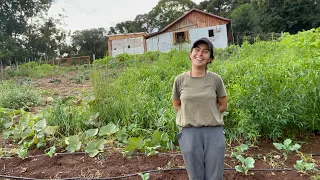 MULHER ABANDONOU A CIDADE PARA VIVER DA HORTA ORGÂNICA NO SÍTIO - JOANA