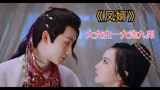 【凤婿】后宫男妃传，一女选九男，弱水三千饮水管饱，小众大女主古装剧