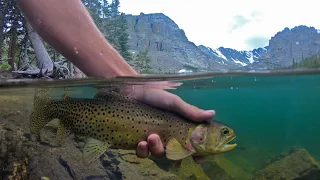 Fly Fishing in Beautiful Alpine Lake!