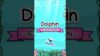 Dolphin Evolution