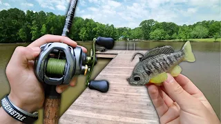 Fishing For GIANT BASS In Small Ponds! (Bank Fishing)