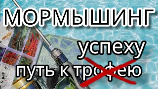 Мормышинг - путь к успеху .