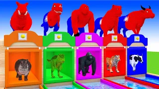Paint Animals cow lion dinosaur elephant bear checken leopard hippo dog cat - Paint Color #part35