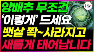 운동 안해도 양배추를 이것과 같이 먹으면 내장지방과 뱃살 싹 빠졌어요 운동없이 살빼기 다이어트에 좋은 양배추와 사과 꼭 이렇게 만들어 드세요 (사과 효능 건강 정보)