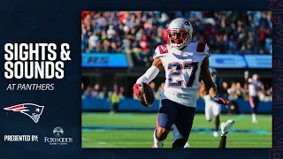 'We're climbing our way out of this thing' | Patriots Sights & Sounds vs. Panthers (NFL Week 9)