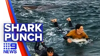 Surfer attacked by shark in Melbourne | Nine News Australia