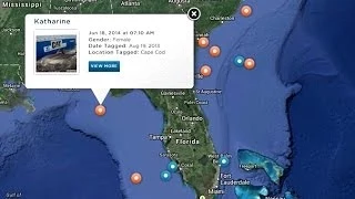 Track Great White Sharks Online As They Swim The World's Coastlines