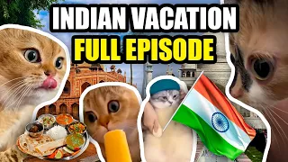 CAT MEMES: FAMILY VACATION COMPILATION + EXTRA SCENES