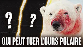 5 ANIMAUX qui pourraient VAINCRE un OURS POLAIRE