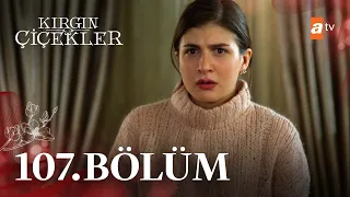 Kırgın Çiçekler 107. Bölüm @atvturkiye