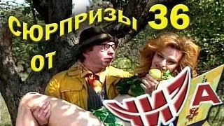 Сюрпризы от "ЧИЗа". Выпуск № 36. 1997 год.