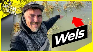 SO FANGT IHR JETZT!!! | WELSANGELN im HERBST mit KÖFI