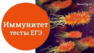 ИММУНИТЕТ - разбор тестов ЕГЭ по биологии