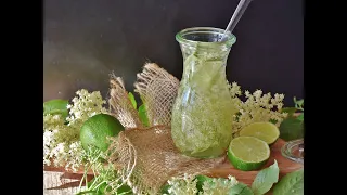 PLANTAS MÁGICAS Y MEDICINALES arbusto mágico del saúco y sus usos medicinales (Sambucus Nigra) Elder