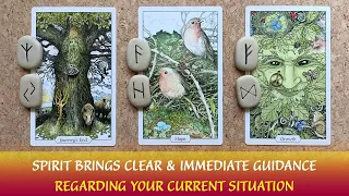👉✉️SPIRIT BRINGS VERY CLEAR INFORMATION THAT YOU NEED TO HEAR RIGHT NOW!👉🏾✉️🌟🌟Pick A Card Timeless