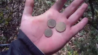 🎥 Прогулка- Коп с Minelab Go Find 20