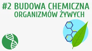 Budowa chemiczna organizmów żywych #2 [ Organizacja i chemizm życia ]